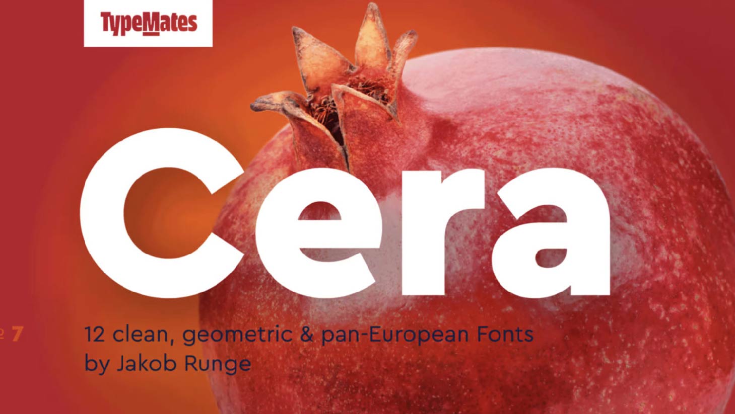 cera-05.jpg