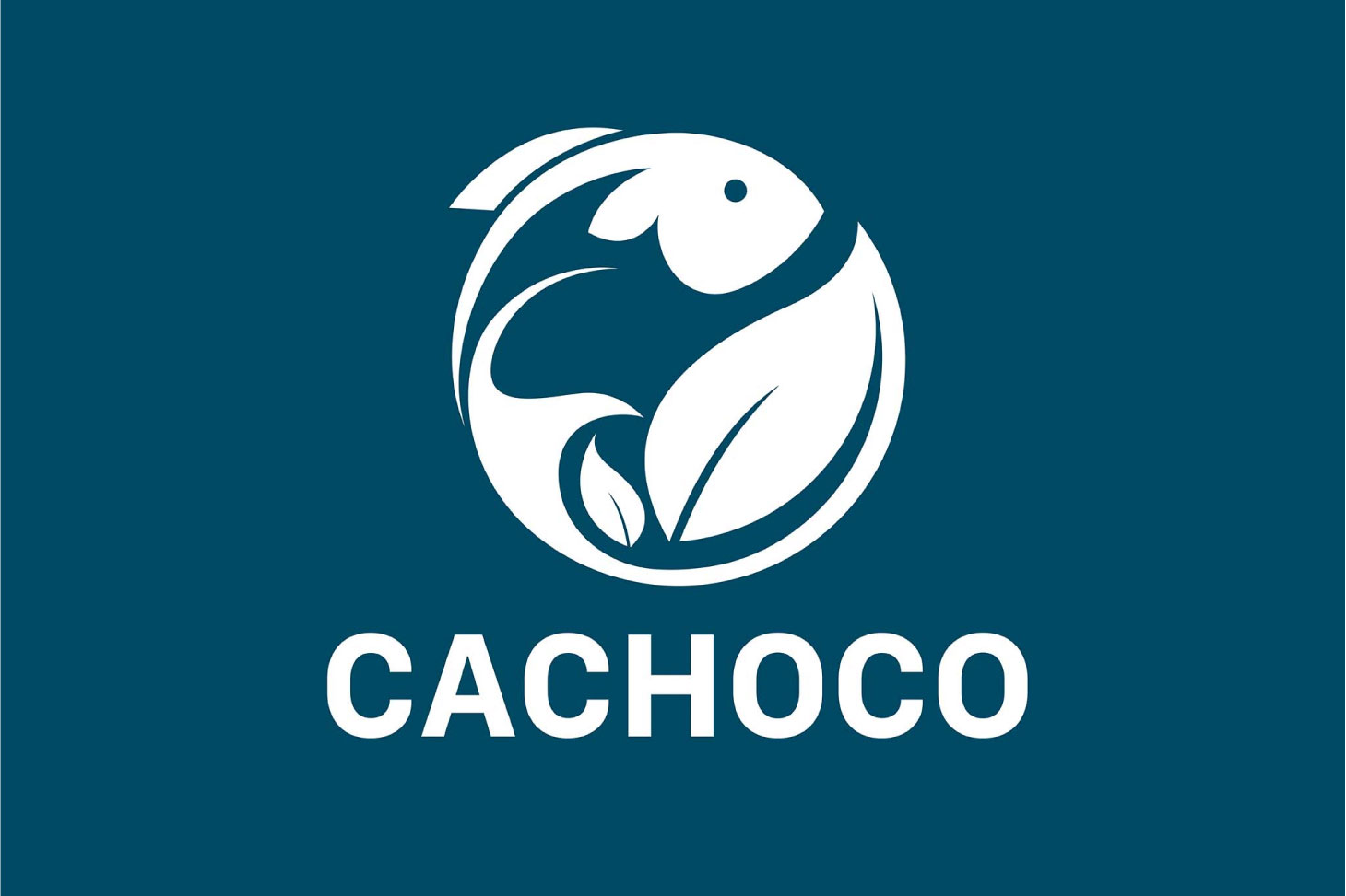 logo xanh dương CACHOCO-03.jpg