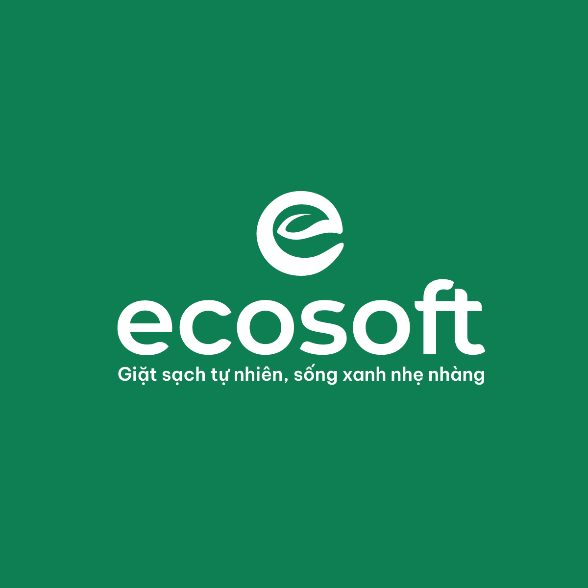 THIẾT KẾ LOGO DỰ ÁN ECOSOFT