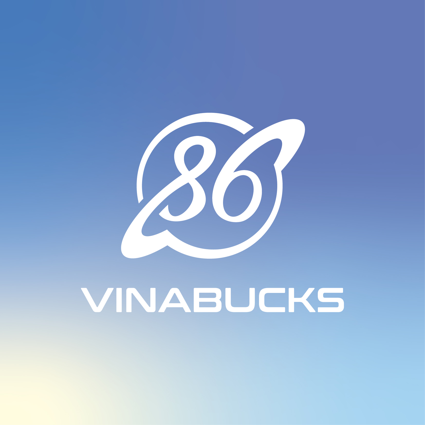 THIẾT KẾ LOGO DỰ ÁN VINABUCKS