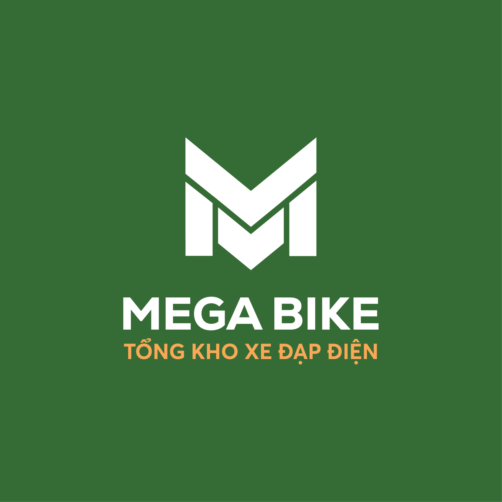 THIẾT KẾ LOGO DỰ ÁN MEGA BIKE
