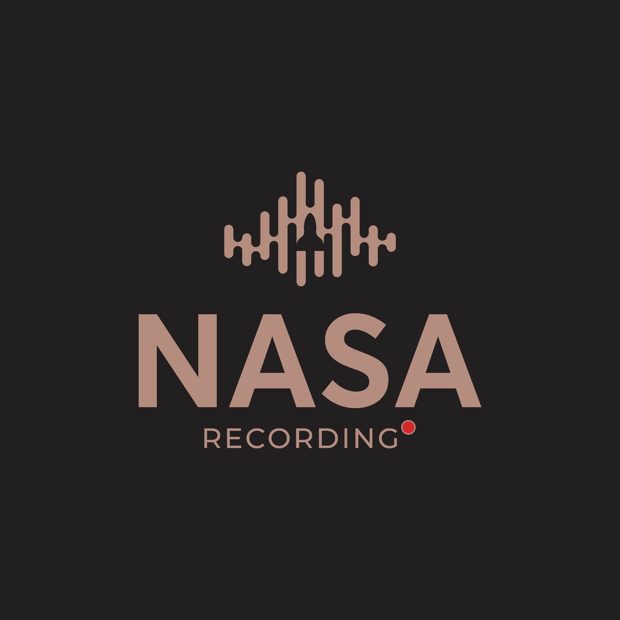 THIẾT KẾ LOGO TRUYỀN THÔNG GIẢI TRÍ NASA RECORDING