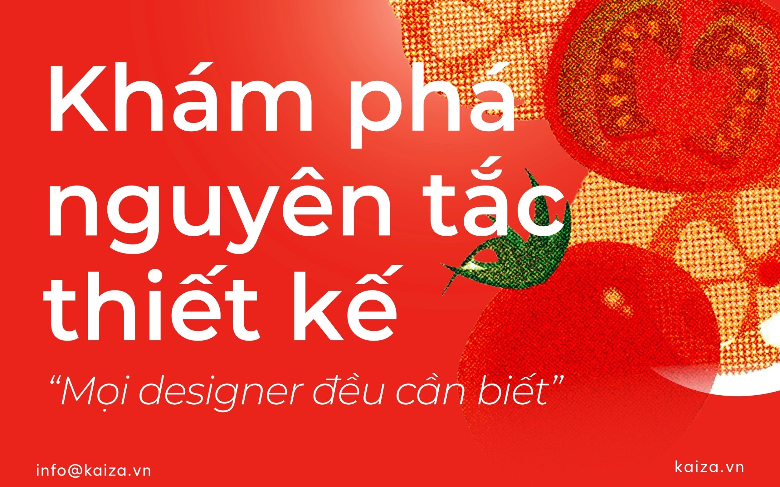 Khám phá 12 nguyên tắc thiết kế mọi designer đều phải biết