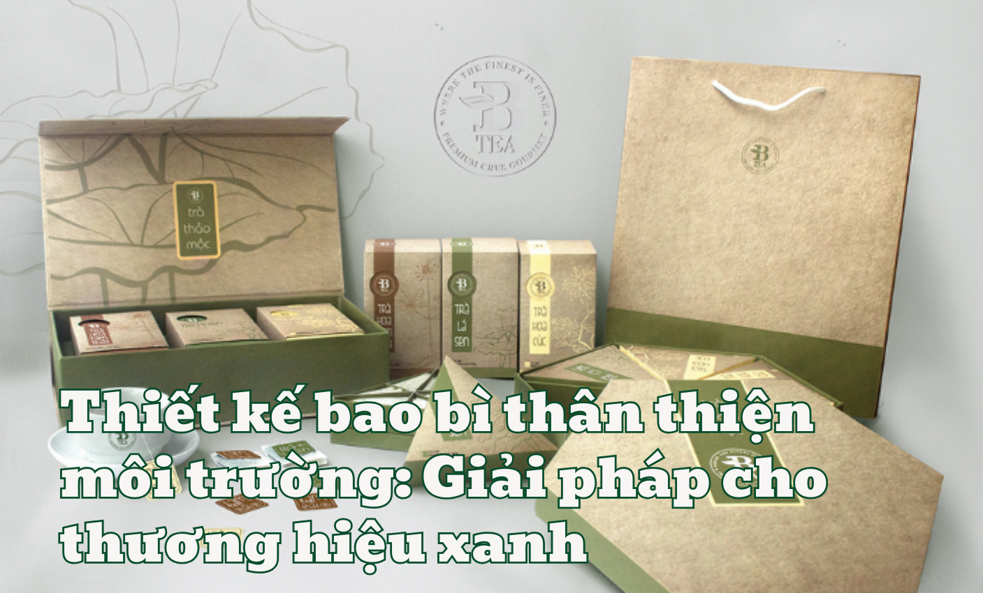 Thiết kế bao bì thân thiện môi trường: Giải pháp cho thương hiệu xanh