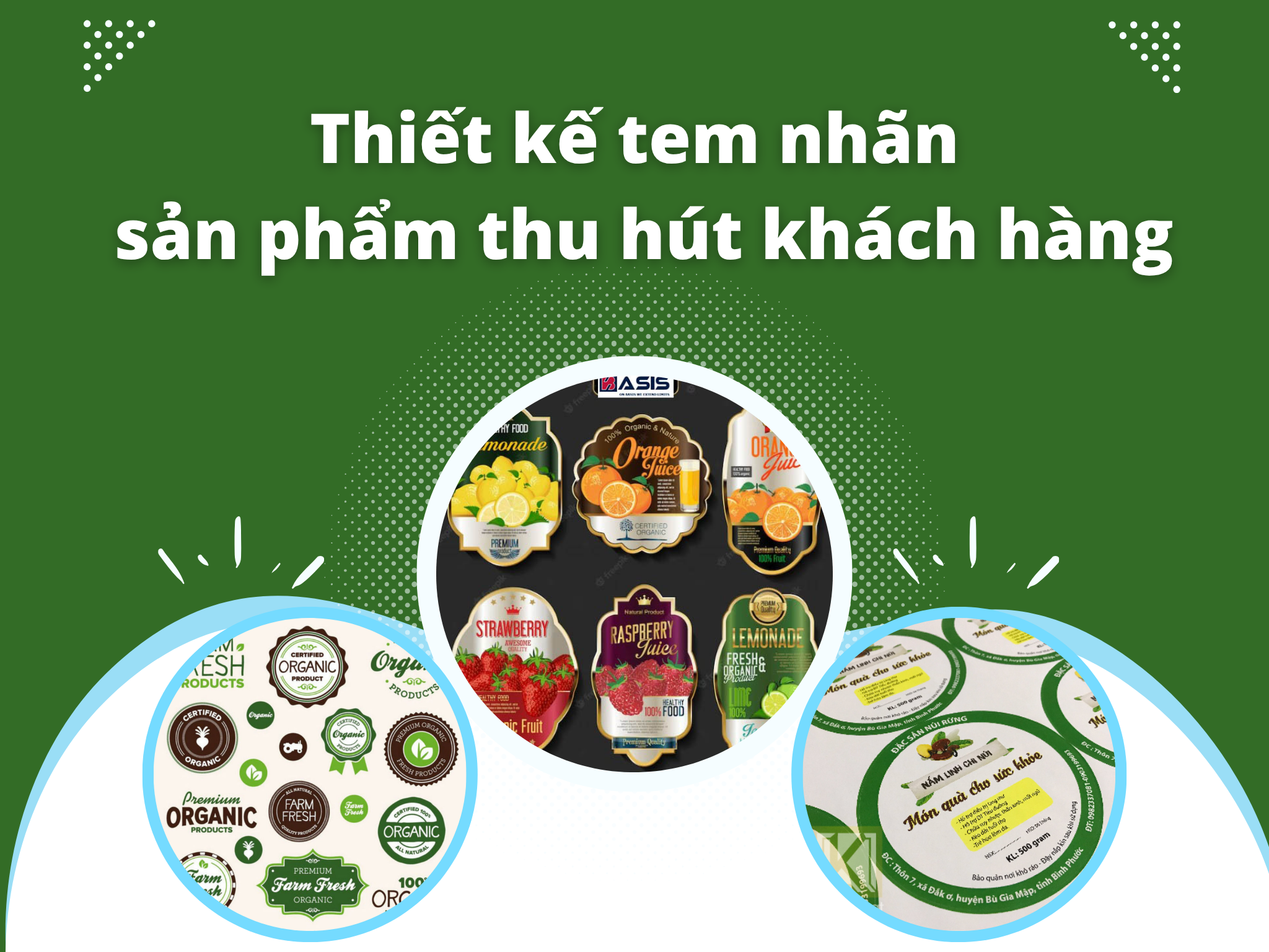 Thiết kế tem nhãn sản phẩm thu hút khách hàng: Chìa khóa nhận diện thương hiệu