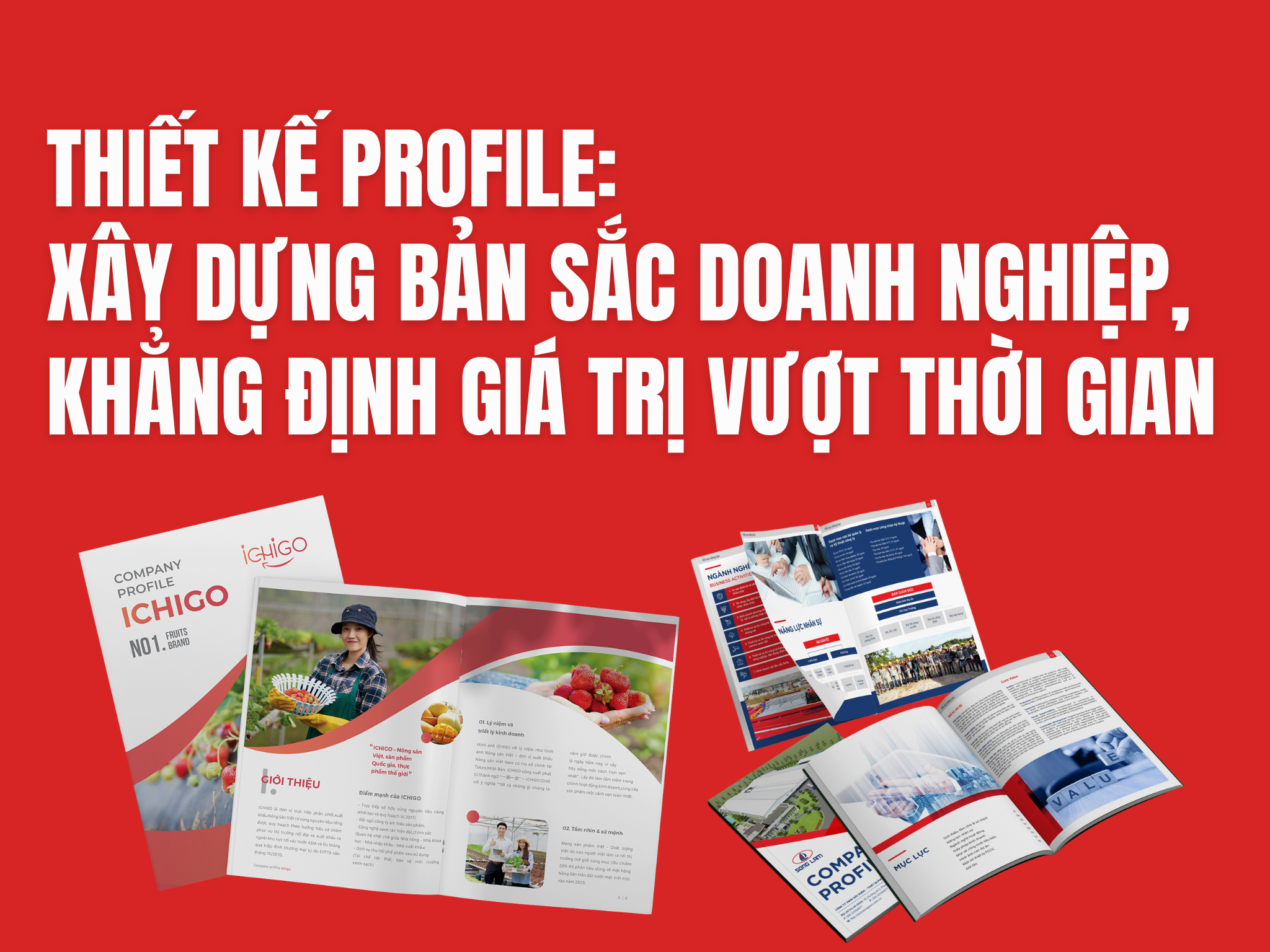Thiết Kế Profile: Xây dựng bản sắc doanh nghiệp, khẳng định giá trị vượt thời gian
